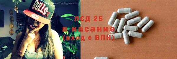 прущие грибы Саяногорск