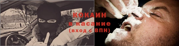 прущие грибы Саяногорск