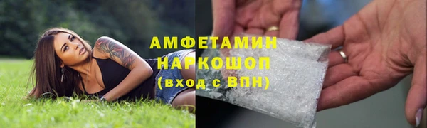 прущие грибы Саяногорск