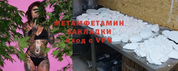 прущие грибы Саяногорск