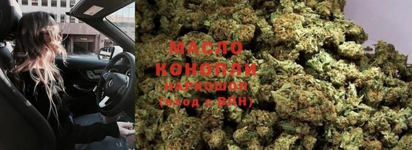 прущие грибы Саяногорск