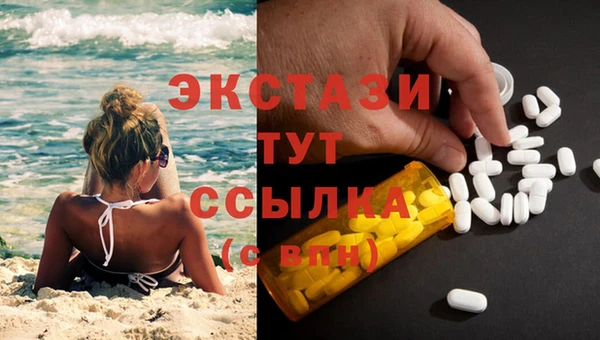 прущие грибы Саяногорск
