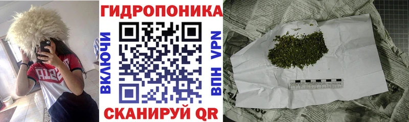 Купить где  Дорогобуж  Каннабис марихуана 